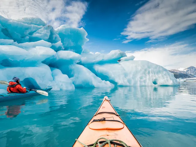Bear Glacier icebergs floating in Kenai Fjords coastal waters