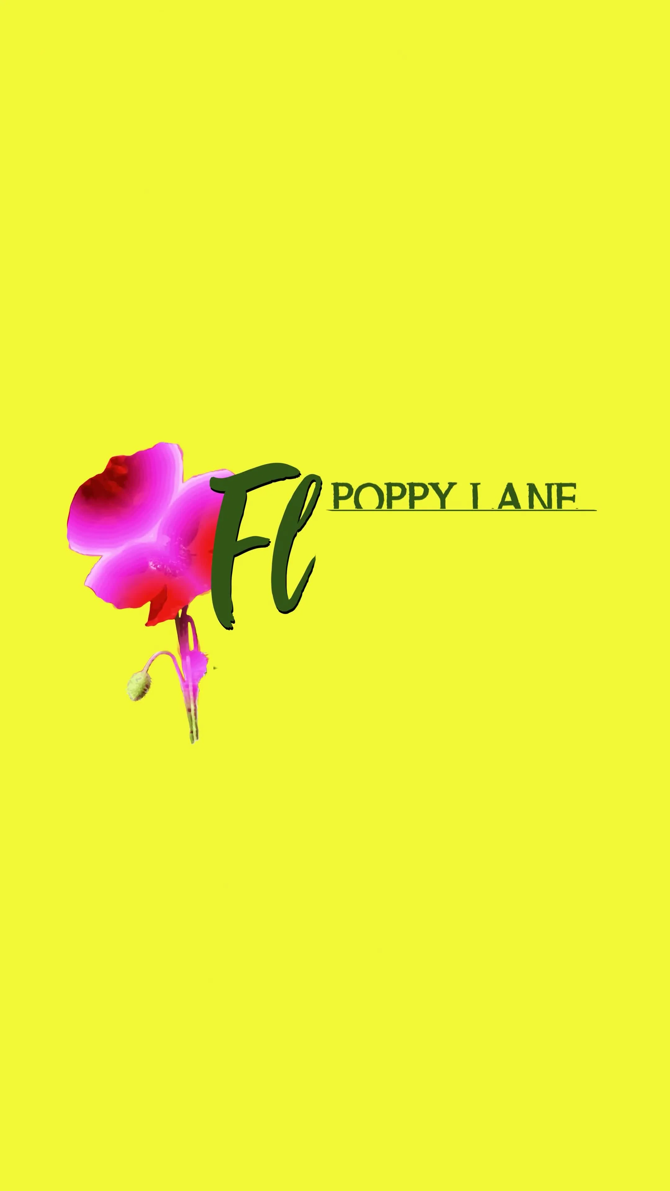Poppy Lane Flowers retail nursery display and hanging floral arrangements