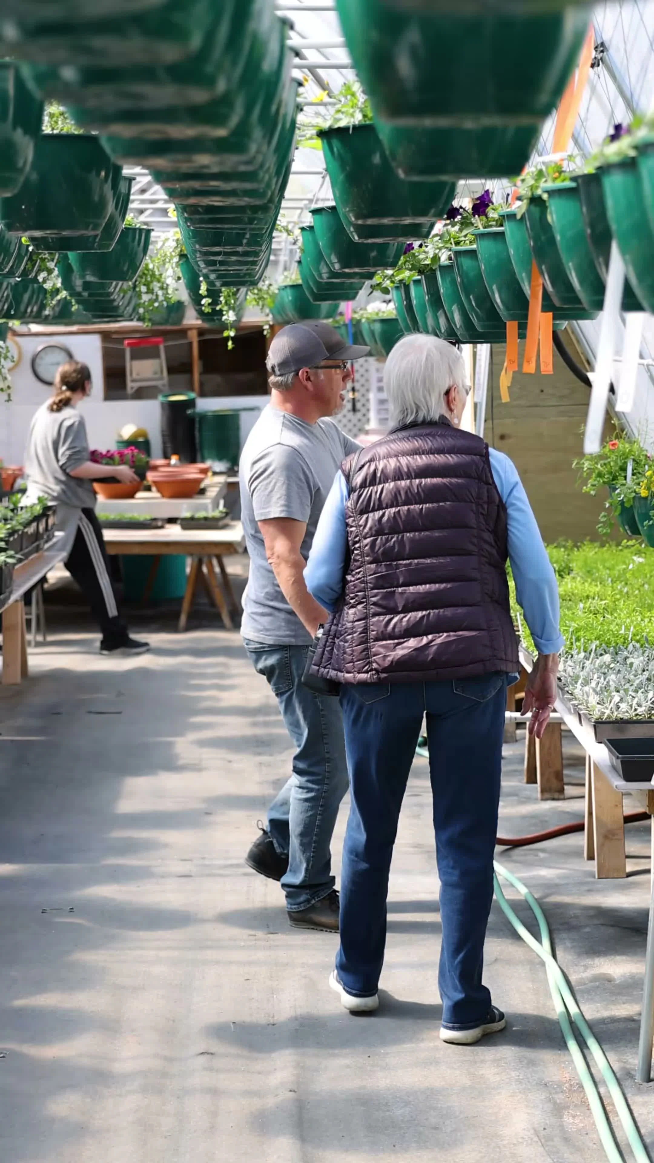 Grower carefully deadheading and tending flowering hanging baskets at Poppy Lane Flowers